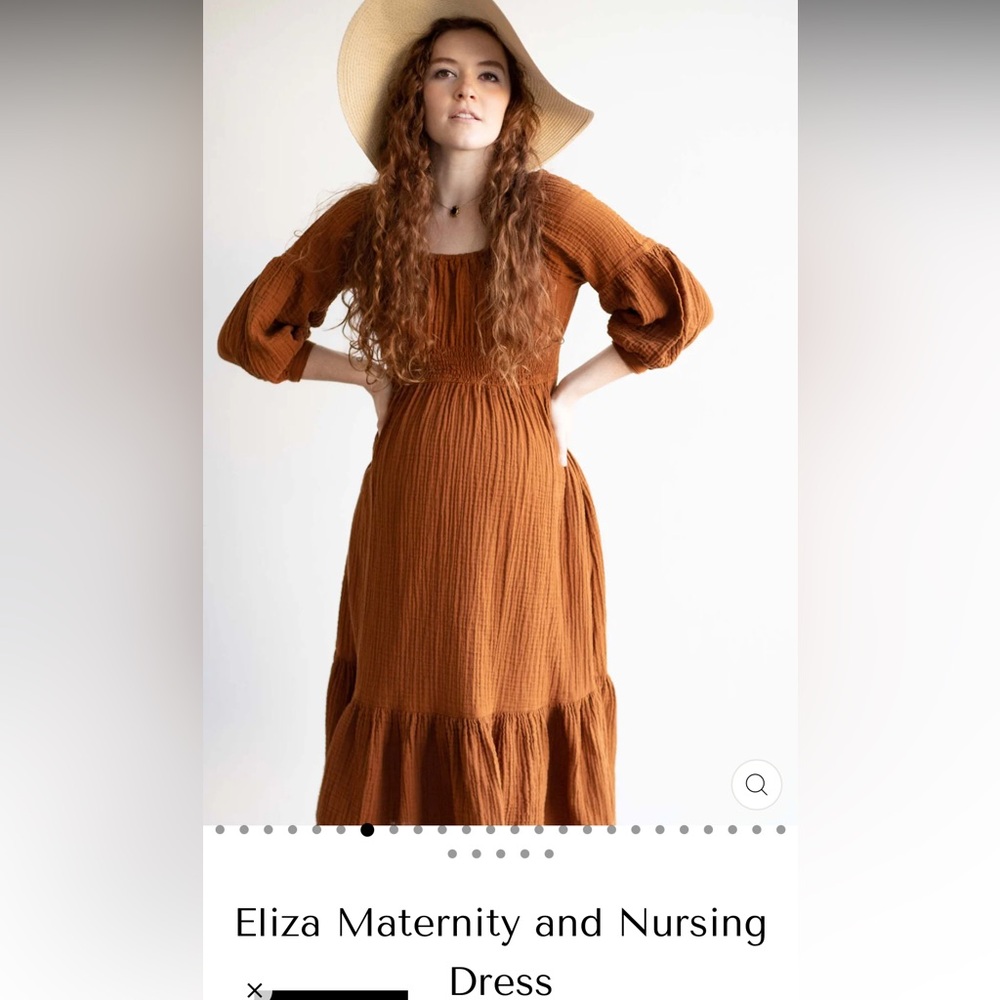 Eliza Maternity and Nursing Dress